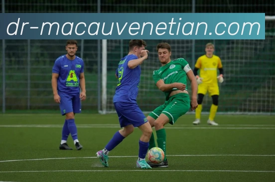 App Interface Preview