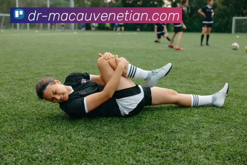 威尼斯人官网APP 封面图